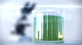 Life Technologies