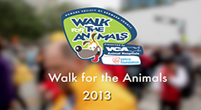 Walk for the Animals 2013